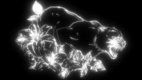Puma in white line on black background Stock Footage 276314270