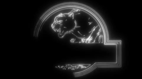 Puma in white line on black background Stock Footage 276316500