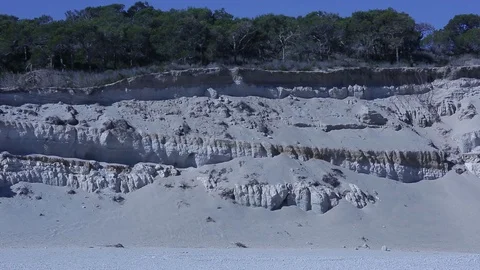 Pumice mine tree Stock Footage 86903943