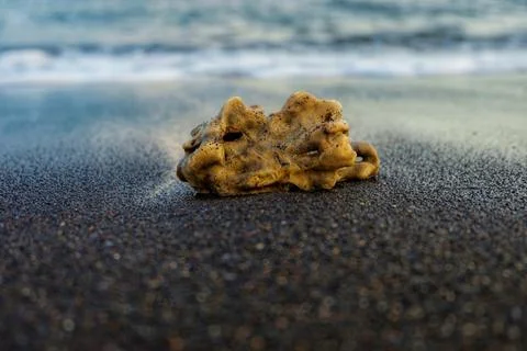 Pumice Stock Photos