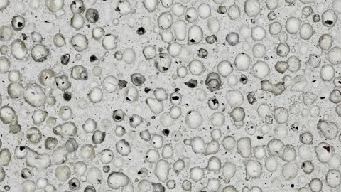 Pumice stone gray close-up structure moving sideways Stock Footage 246851374