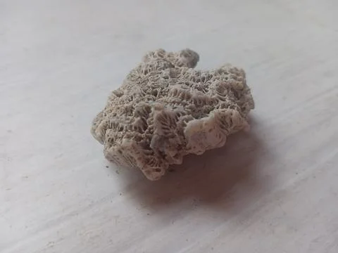 Pumice on a white surface Stock Photos