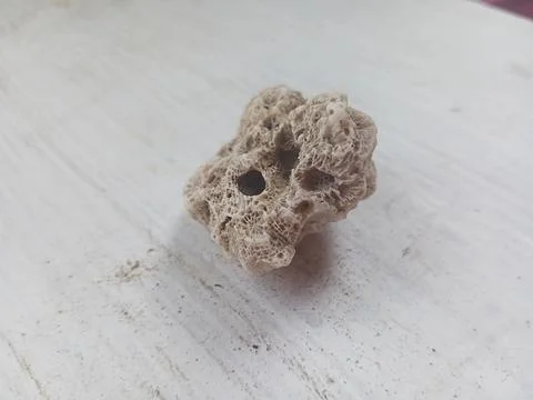 Pumice on a white surface Foto stock