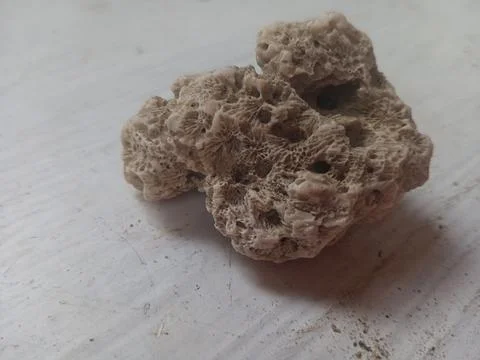 Pumice on a white surface Foto stock