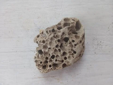 Pumice on a white surface Stock Photos