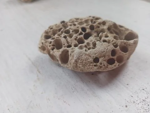 Pumice on a white surface Foto stock