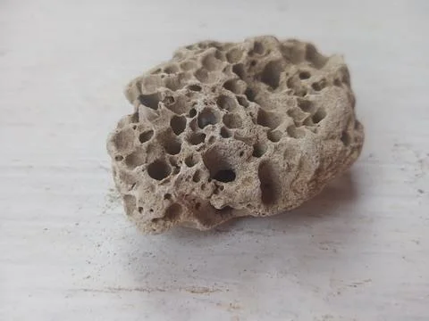 Pumice on a white surface Foto stock