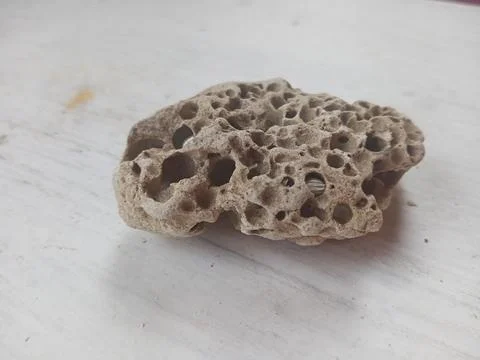 Pumice on a white surface Foto stock