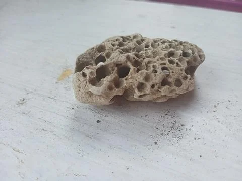 Pumice on a white surface Stock Photos
