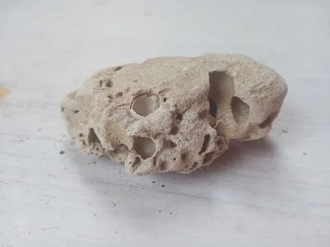 Pumice on a white surface Stock Photos