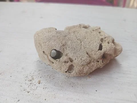 Pumice on a white surface Stock Photos