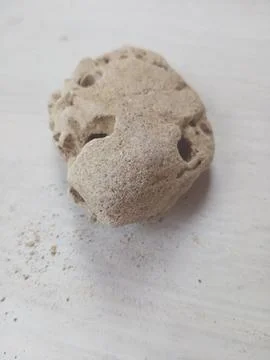 Pumice on a white surface Stock Photos