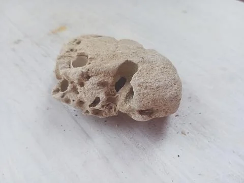Pumice on a white surface Stock Photos