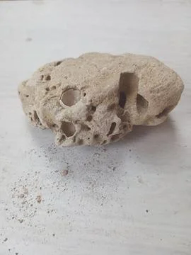 Pumice on a white surface Stock Photos