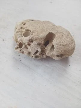 Pumice on a white surface Stock Photos