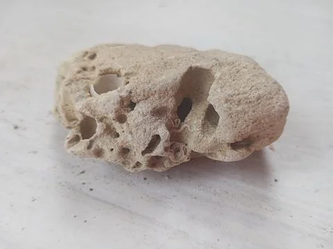 Pumice on a white surface Stock Photos