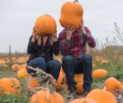 Pumkin Patch Stock Photos