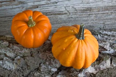 Pumkin Stock Photos