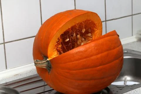 Pumkin Foto stock