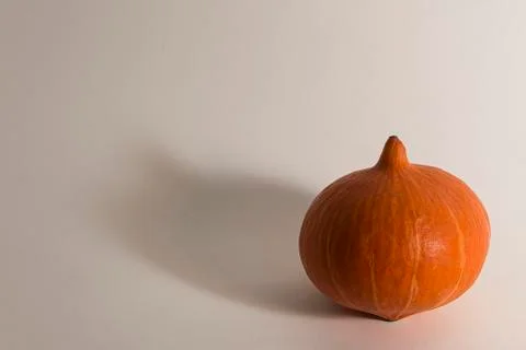 Pumkin in studio Stock Photos