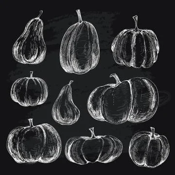 Pumkins Stock Illustration