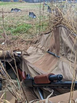 Pump action shotgun resting in a layout blind during goose hunt Foto stock