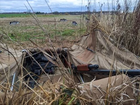 Pump action shotgun resting in a layout blind during goose hunt Stockfoto's