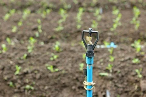 Pump head Stock Photos