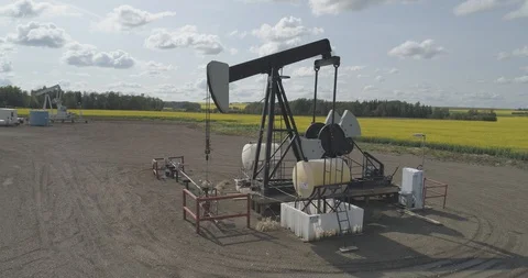 Pump jack in oil patch in field of yellow canola. Stock Footage 128455827