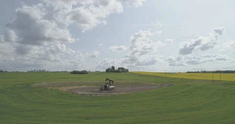 Pump jack in oil patch in field of yellow canola. Stock Footage 128455903