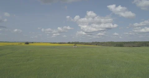 Pump jack in oil patch in field of yellow canola. Stock Footage 128456124