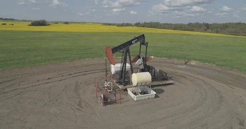 Pump jack in oil patch in field of yellow canola. Stock Footage 128456382