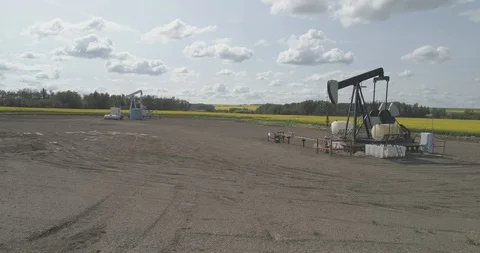 Pump jack in oil patch in field of yellow canola. Stock Footage 128459079