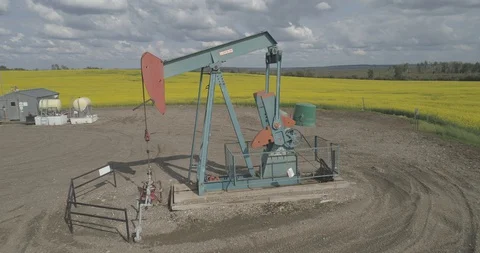 Pump jack in oil patch in field of yellow canola. Stock Footage 128461435