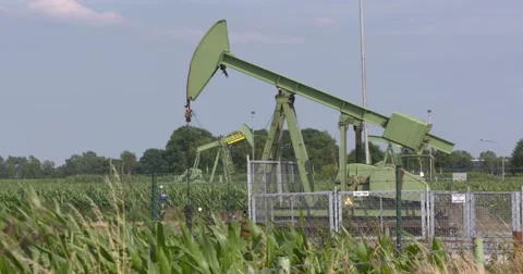 Pump jacks in corn field  EMLICHHEIM, GERMANY Video stock 64962495