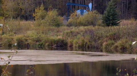 Pump jacks working in a field for oil and gas industry. Stock Footage 59840963