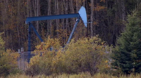 Pump jacks working in a field for oil and gas industry. Stock Footage 59841599