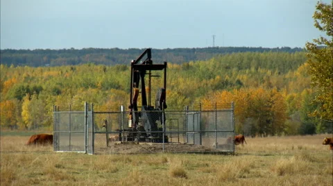 Pump jacks working in a field for oil and gas industry. Stock Footage 59851161