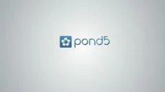 Pump up Logo Reveal Stock After Effects