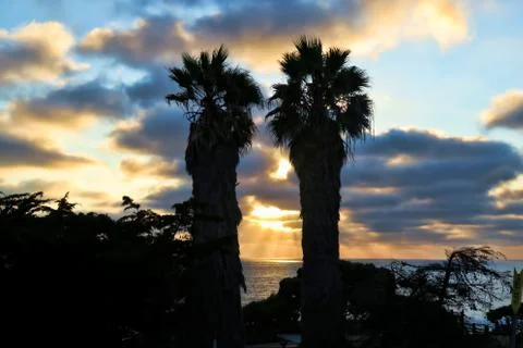 Pump Trees Beach Stock Photos