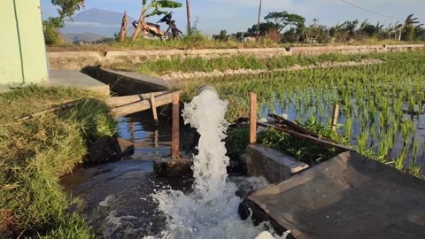 Pump, water, irrigation, pipe Stock Footage 248393002