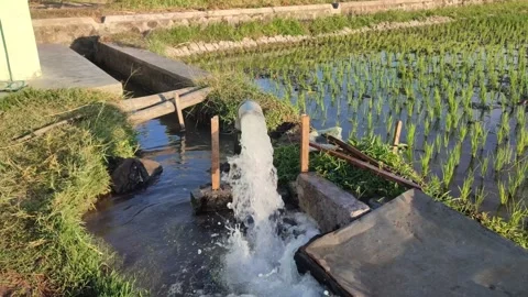 Pump, water, irrigation, pipe Stock Footage 248393012