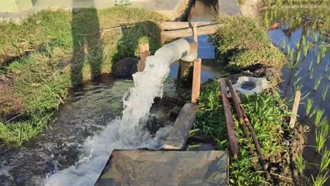 Pump, water, irrigation, pipe Stock Footage 248393013