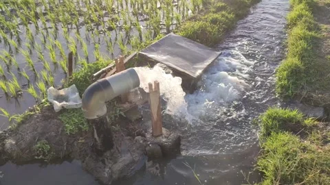 Pump, water, irrigation, pipe Stock Footage 248393043