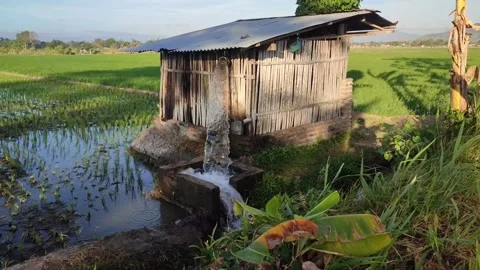 Pump, water, irrigation, pipe Stock Footage 248393519
