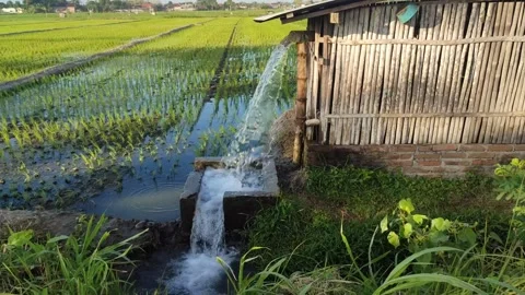 Pump, water, irrigation, pipe Stock Footage 248393590