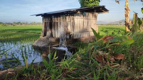 Pump, water, irrigation, pipe Stock Footage 248393824