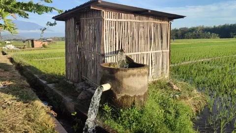 Pump, water, irrigation, pipe Stock Footage 248393942