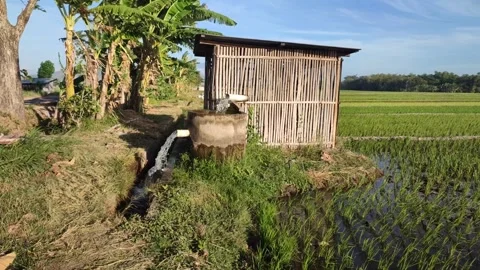 Pump, water, irrigation, pipe Stock Footage 248393981