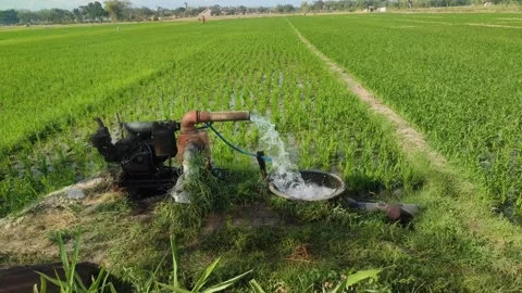Pump, water, irrigation, pipe Stock Footage 248394017